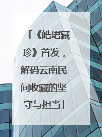 《皓珺藏珍》首发，解码云南民间收藏的坚守与担当