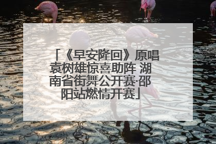 《早安隆回》原唱袁树雄惊喜助阵 湖南省街舞公开赛·邵阳站燃情开赛