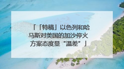「特稿」以色列和哈马斯对美国的加沙停火方案态度显“温差”