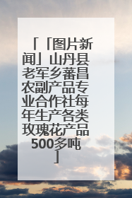 「图片新闻」山丹县老军乡蕃昌农副产品专业合作社每年生产各类玫瑰花产品500多吨
