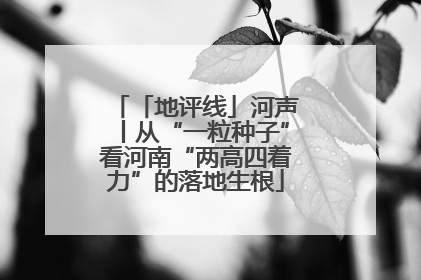 「地评线」河声丨从“一粒种子”看河南“两高四着力”的落地生根