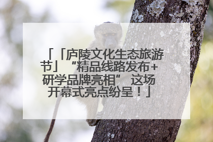 「庐陵文化生态旅游节」“精品线路发布+研学品牌亮相” 这场开幕式亮点纷呈！
