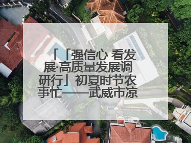 「强信心 看发展·高质量发展调研行」初夏时节农事忙——武威市凉州区推进高标准农田建设见闻