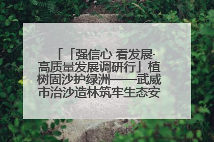 「强信心 看发展·高质量发展调研行」植树固沙护绿洲——武威市治沙造林筑牢生态安全屏障见闻