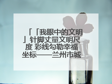 「我眼中的文明」针脚丈量文明尺度 彩线勾勒幸福坐标——兰州市城关区酒泉路街道办事处