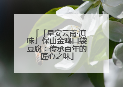 「早安云南·滇味」保山金鸡口袋豆腐：传承百年的匠心之味