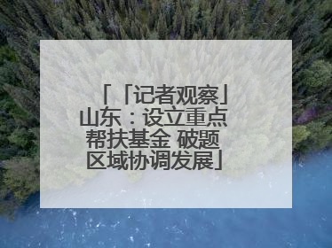 「记者观察」山东：设立重点帮扶基金 破题区域协调发展