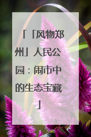 「风物郑州」人民公园：闹市中的生态宝藏