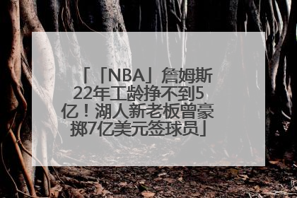 「NBA」詹姆斯22年工龄挣不到5亿！湖人新老板曾豪掷7亿美元签球员