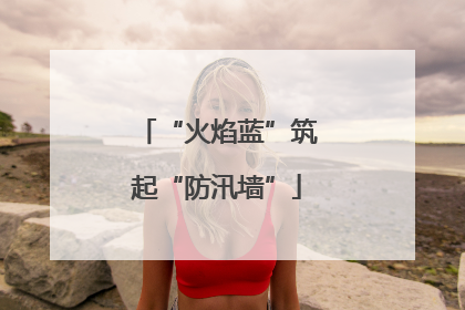 “火焰蓝”筑起“防汛墙”