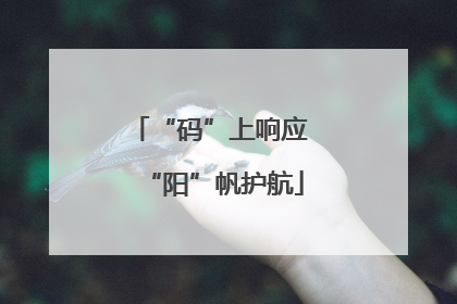 “码”上响应 “阳”帆护航