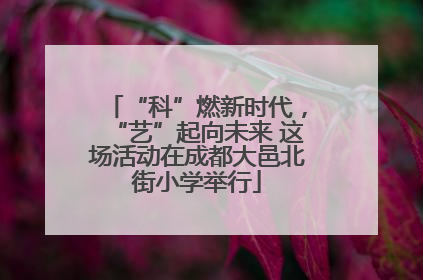 “科”燃新时代，“艺”起向未来 这场活动在成都大邑北街小学举行