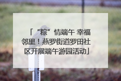 “粽”情端午 幸福邻里！燕罗街道罗田社区开展端午游园活动