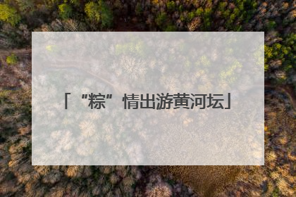 “粽”情出游黄河坛