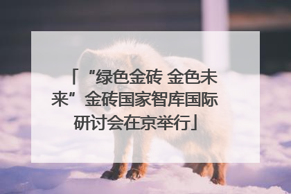 “绿色金砖 金色未来”金砖国家智库国际研讨会在京举行