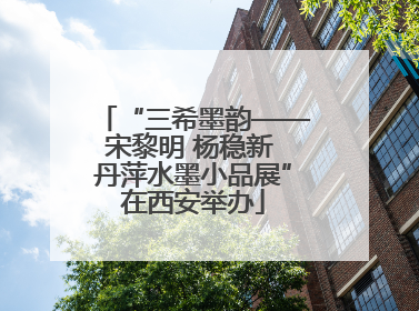 “三希墨韵——宋黎明 杨稳新 丹萍水墨小品展”在西安举办