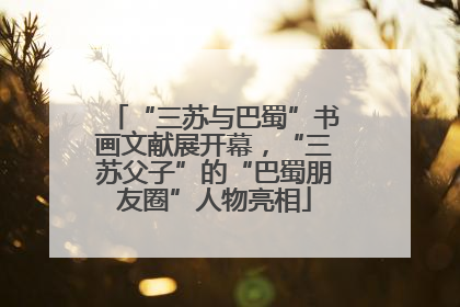 “三苏与巴蜀”书画文献展开幕，“三苏父子”的“巴蜀朋友圈”人物亮相