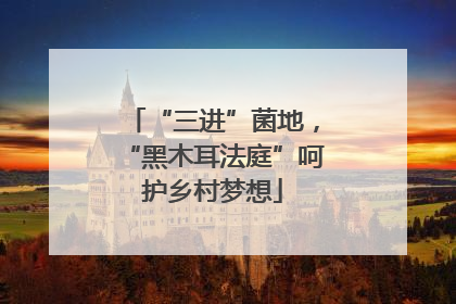 “三进”菌地，“黑木耳法庭”呵护乡村梦想