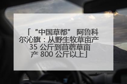“中国草都” 阿鲁科尔沁旗：从野生牧草亩产 35 公斤到苜蓿草亩产 800 公斤以上