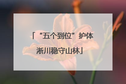 “五个到位”护体 淅川稳守山林