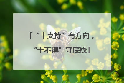 “十支持”有方向，“十不得”守底线
