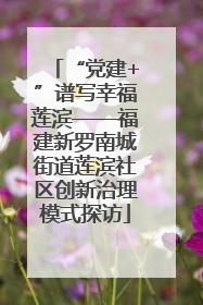 “党建+”谱写幸福莲滨——福建新罗南城街道莲滨社区创新治理模式探访