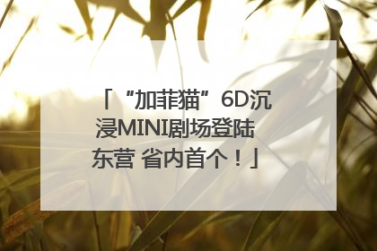 “加菲猫”6D沉浸MINI剧场登陆东营 省内首个！