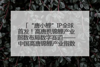 “唐小鲤”IP全球首发！高唐携锦鲤产业指数布局数字赛道——中国高唐锦鲤产业指数暨“唐小鲤”IP全球首发仪式在杭州举行