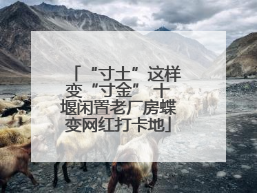 “寸土”这样变“寸金” 十堰闲置老厂房蝶变网红打卡地