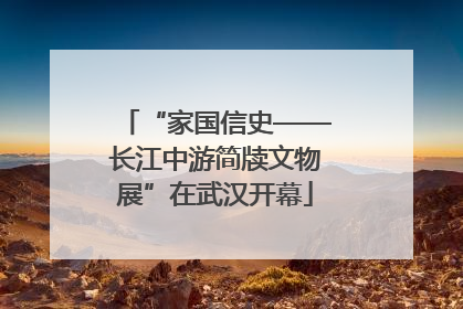 “家国信史——长江中游简牍文物展”在武汉开幕