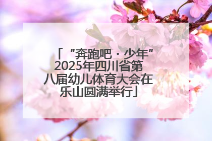 “奔跑吧・少年”2025年四川省第八届幼儿体育大会在乐山圆满举行