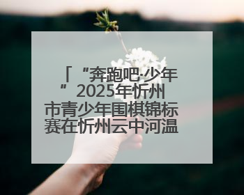 “奔跑吧·少年”2025年忻州市青少年围棋锦标赛在忻州云中河温泉旅游度假区圆满举办