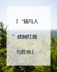 “捕鸟人”建网红观鸟胜地