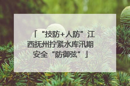 “技防+人防”江西抚州拧紧水库汛期安全“防御弦”
