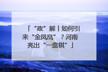 “政”解丨如何引来“金凤凰”？河南亮出“一盘棋”