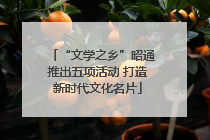 “文学之乡”昭通推出五项活动 打造新时代文化名片