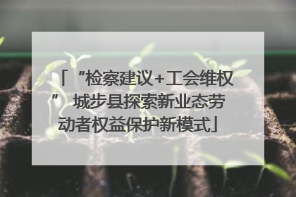 “检察建议+工会维权” 城步县探索新业态劳动者权益保护新模式