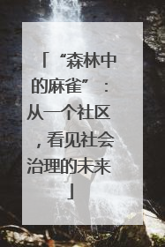“森林中的麻雀”：从一个社区，看见社会治理的未来