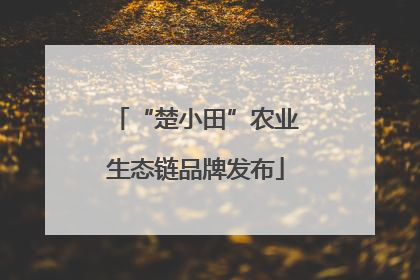 “楚小田”农业生态链品牌发布