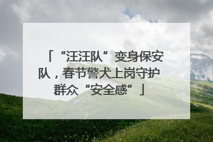 “汪汪队”变身保安队，春节警犬上岗守护群众“安全感”