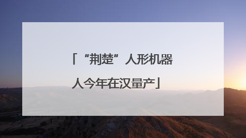 “荆楚”人形机器人今年在汉量产