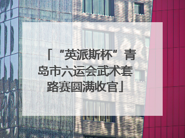 “英派斯杯”青岛市六运会武术套路赛圆满收官