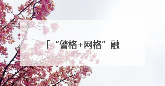 “警格+网格”融合发力，流动人口管理服务提质增效