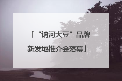 “讷河大豆”品牌新发地推介会落幕
