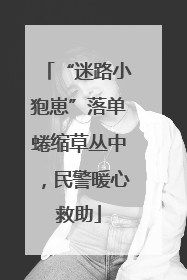“迷路小狍崽”落单蜷缩草丛中，民警暖心救助