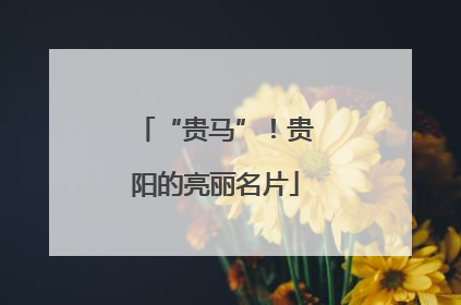 “贵马”！贵阳的亮丽名片