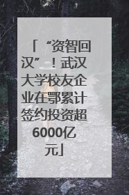 “资智回汉”！武汉大学校友企业在鄂累计签约投资超6000亿元