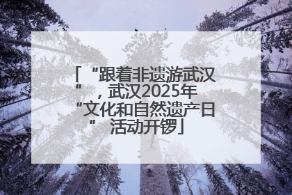 “跟着非遗游武汉”，武汉2025年“文化和自然遗产日” 活动开锣