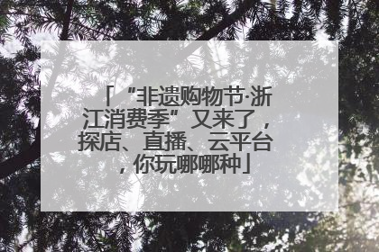 “非遗购物节·浙江消费季”又来了，探店、直播、云平台，你玩哪哪种
