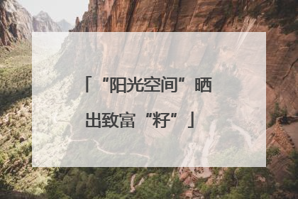 “阳光空间”晒出致富“籽”